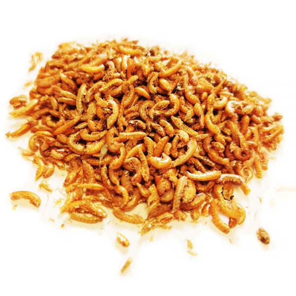 Freeze Dried Gammarus Shrimp Tropical Fish Food Turtles Terrapin Koi Wild Birds