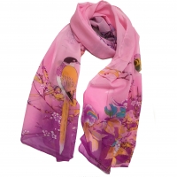 Fashion Ladies Scarves And Shawls / Scarf For Women