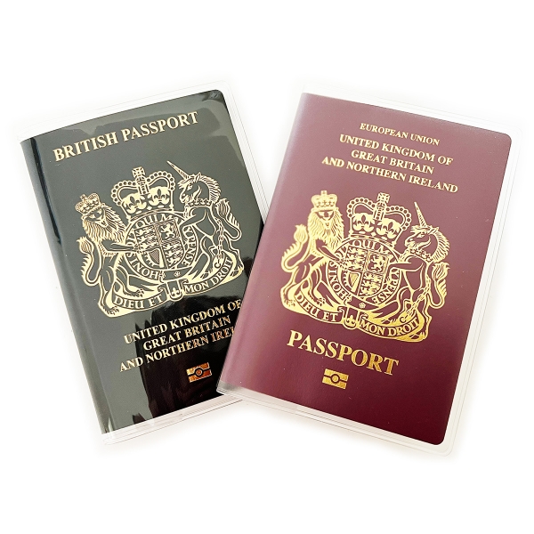 FREE 2pc Transparent And Scrub Plastic Passport Covers