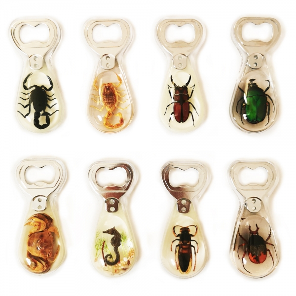 Magnetic Insect Beetle Amber Metal Bottle Opener Novelty Fridge Magnet Xmas Gift