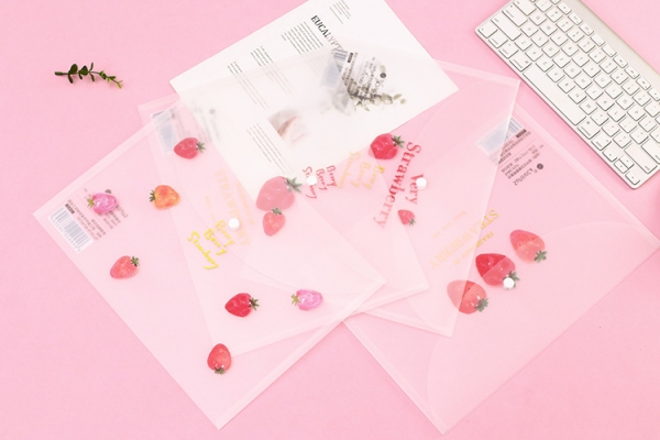 Red Strawberry Summer Fruits Fashion A4 Plastic Document Wallets File Folders