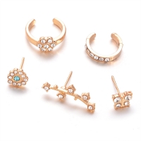 Bohemia Style Set Earrings