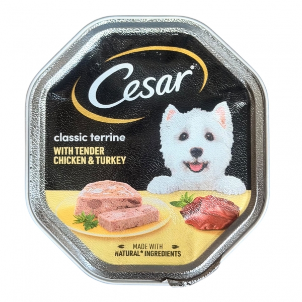 CESAR Classics Terrine Dog Food Tray in Jelly